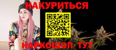 шишки Кандалакша